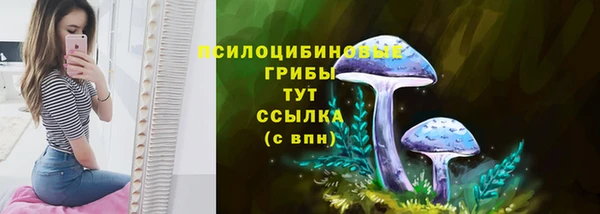 трава Абдулино
