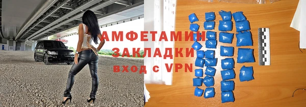 индика Алзамай