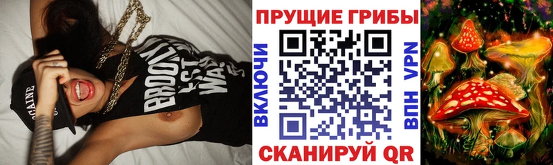 купить цена Ессентукская Галлюциногенные грибы MAGIC MUSHROOMS